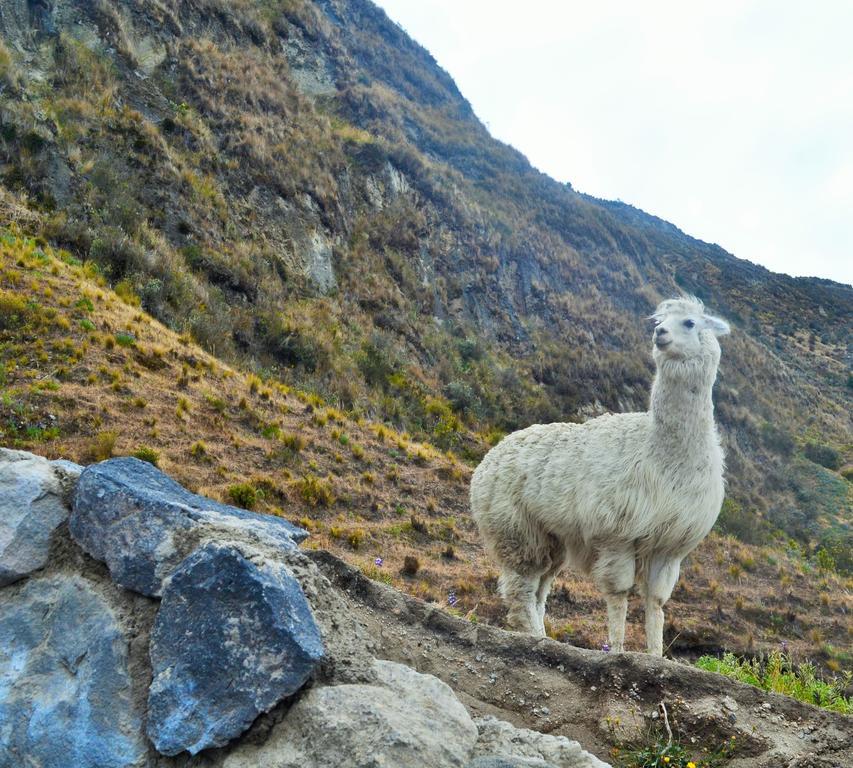 Hotel Princesatoa Quilotoa Kültér fotó