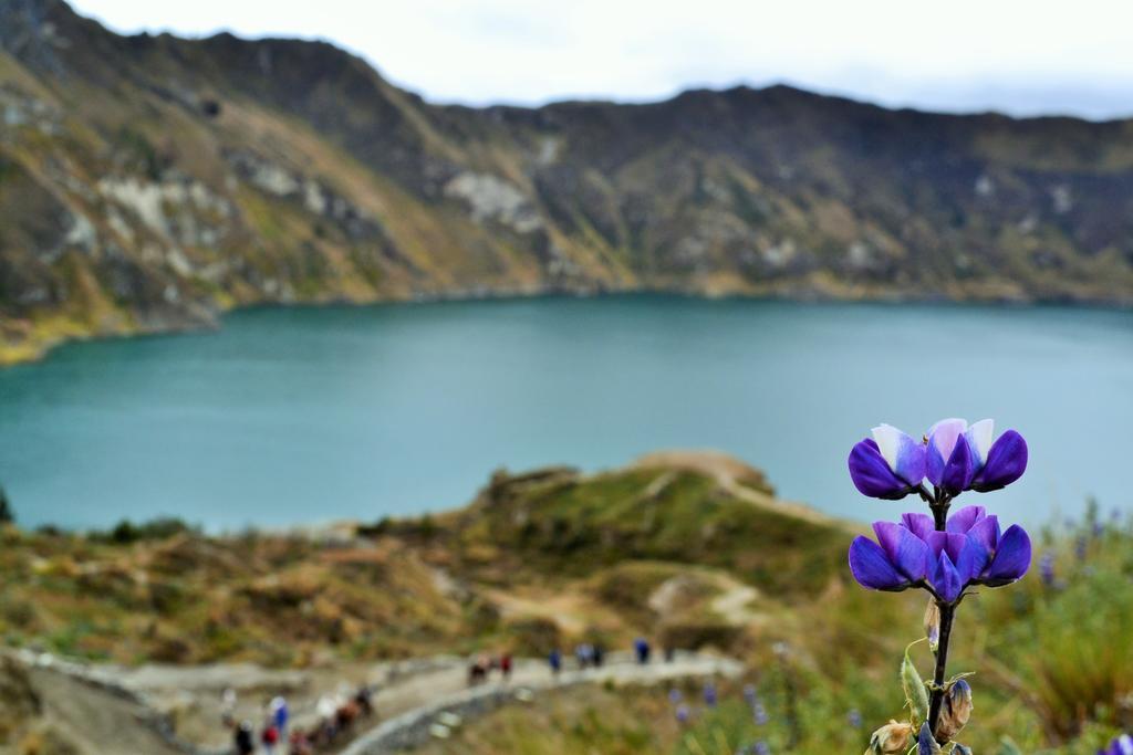Hotel Princesatoa Quilotoa Kültér fotó